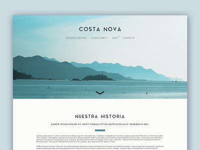 COSTA NOVA - Web Design blue and white branding clean creative design simple ux ux design web webpage webpage design