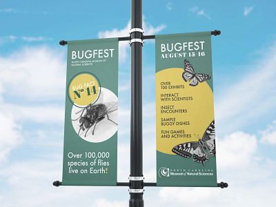 Light Pole Banner