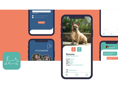 Pet Finder App