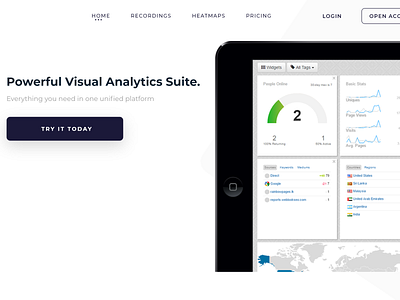 Powerful Visual Analytics Suite design illustration typography ui ux web website