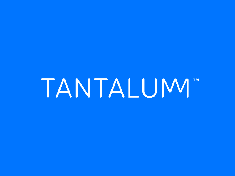 Tantalum Wordmark branding design logo logotype product branding start up vector