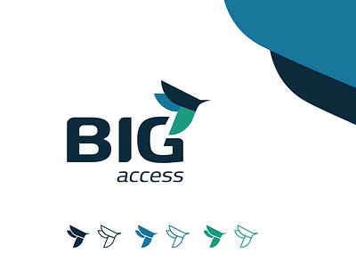 BIG Access brand identity branding graphic design logo