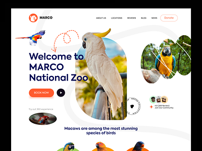 Marco- Macaws Landing Page book creative donate landing macaw nature parrot ticket ui ui design uiux web wildlife zoo