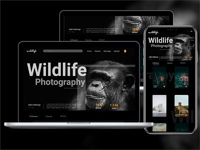 Wildlife-mobile-web-UI