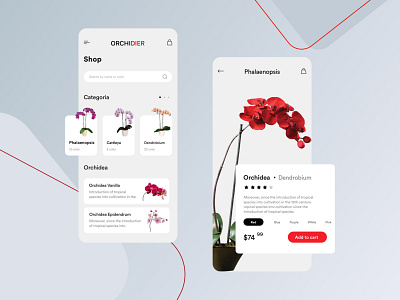 Orchidea Shop app