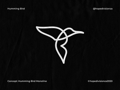 Humming Bird design hummingbird hummingbird logo icon logo minimal monoline monoline logo simple simple logo vector