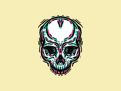 Skull Illustration