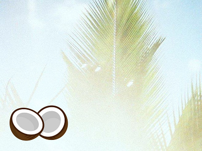 YOCOCO coconut identity logo mark