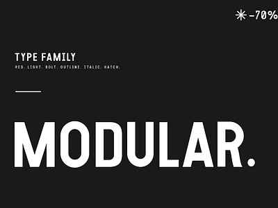 Modular Font branding bundle font fonts modern type typeface typographic ui