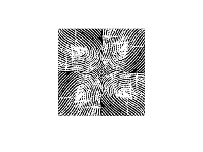 Fingerprint logo