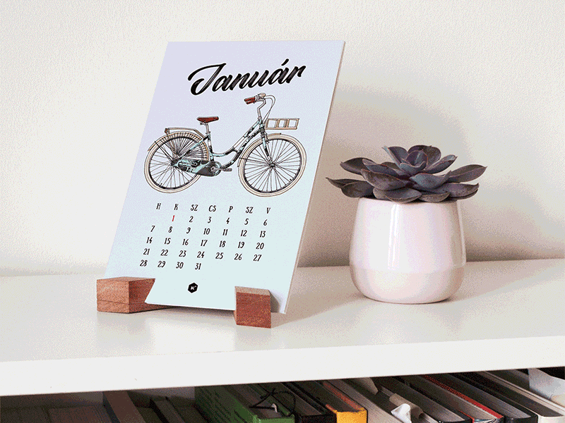 2019 Bike Calendar illustration logo typography