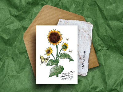 Paper Plant - Botanical greeting card with sunflower seeds branding design graphic design illustration typography