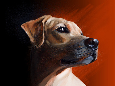 Friend animal black brush color contrast dark dog dream friend illustration line lineart pet portrait red sight think warm