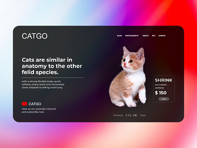 CATGO pet shop animal app design minimal new online pets petshop petstore shop ui ux website youtube