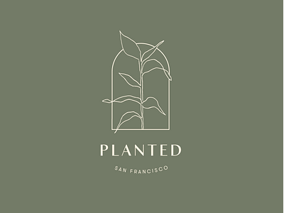 Planted Logo botanical branding delicate design drawing flowers handdrawn illustration leaves logo plants typography