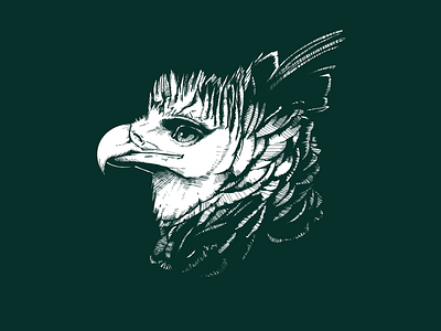 eagle draw