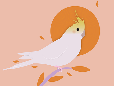 Bird 2d bird design illustration illustration art illustrator leaves nature peachtober sun vector