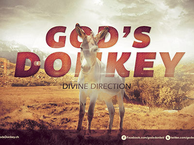 God's Donkey Church Flyer Template