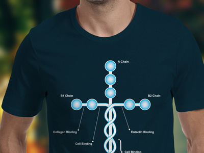 Laminin T-Shirt Template religious science scientific stem structural structure substance symbol the cross tissue vector worship