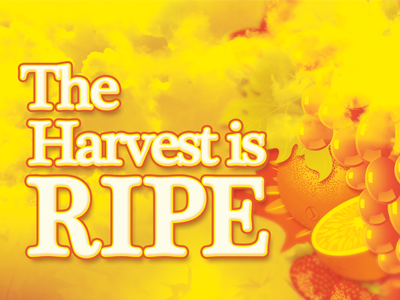 The Harvest is Ripe Church Flyer Template