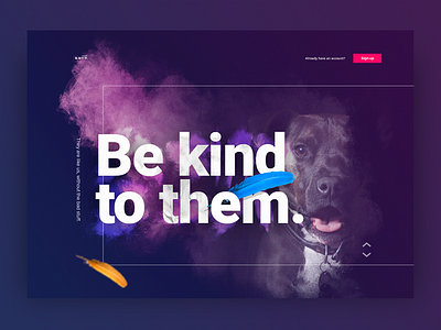 Landing screen dog landing login pet signin ui ux