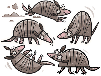 Los Armadillos animal armadillo character art character creation digital art drawing illustration