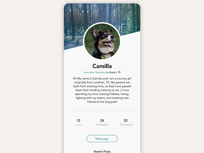 Daily UI User Profile daily 100 challenge dailyui mobile ui user profile