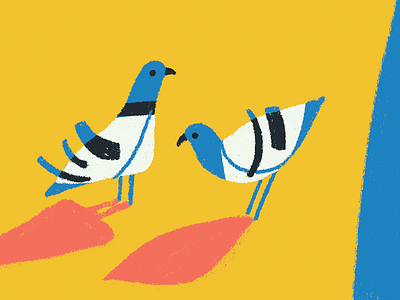 Pigeons animal illustration character flat shapes modernism pigeons sneak peek