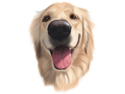 Clem digital painting dog dog illustration dog portrait illustration painting pet portrait portrait portrait painting procreate