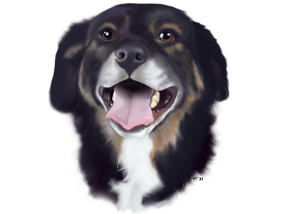 Lilly digital painting dog dog illustration dog portrait illustration procreate