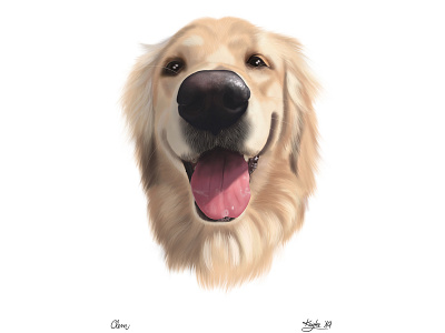 Clem commission digital painting dog dog illustration dog portrait illustration procreate