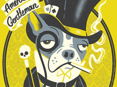 "The American Gentleman" Boston Terrier Variants