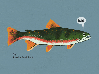 Trout animation explainer fish illustration trout