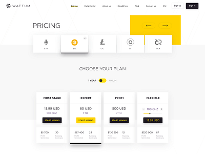 Pricing page bitcoin branding capital checkout crypto decentralized pay price trading