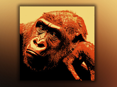 Gorilla design graphic design illustration illustration art