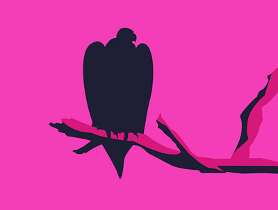 Vultures design graphic design illustration illustration art