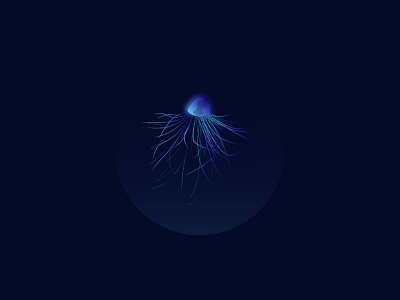 jellyfish design graphic design illustration illustration art