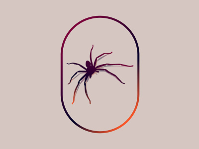 spider design graphic design illustration illustration art