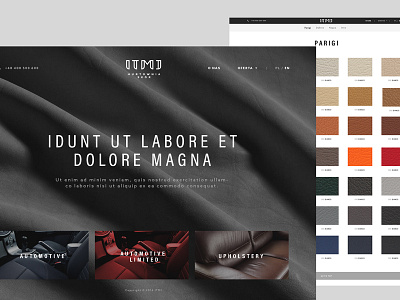 WIP #1 catalogue elegant mnimal web web design webdesign website