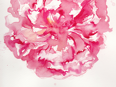 peony practice bloom floral garden growing painting peony pink red watercolor