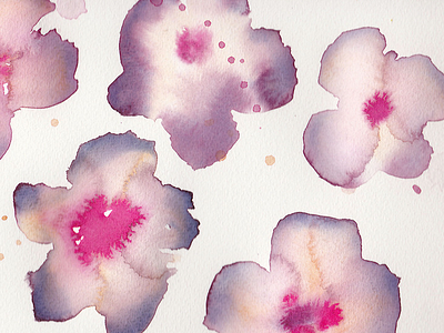 watery purply blooms blend bloom gardenofedin grow paint watercolor