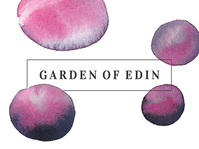 branding my garden art branding design gardenofedin graphic identity logotype watercolor