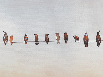 Downtime birds birds on a wire illustration painting put a bird on it watercolor