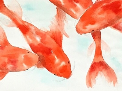 koi watercolor art asian fish illustration koi orange painting portrait red swimming water