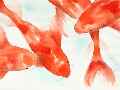 koi watercolor