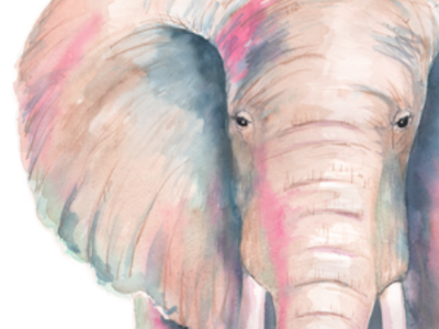 Ella the Elephant animal elephant face illustration painting portrait watercolor