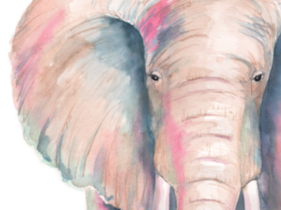 Ella the Elephant by Jocelyn Edin on Dribbble