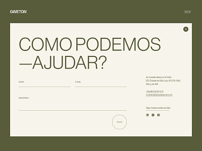 Contact Page - Galeria de Arte Silvânia Tamer contact contact page form interface minimal page ui ux website
