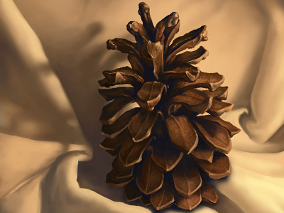 Good Evening, Pinecone digital illustration painting photoshop