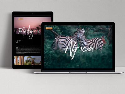 Africa africa client work image heavy minimal minimalism rich safari website